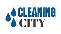 Cleaning City